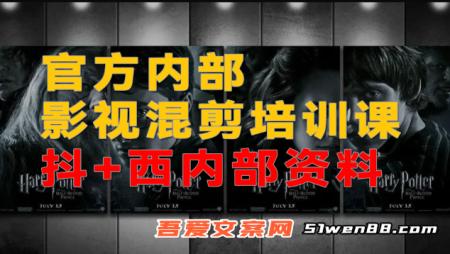 官方内部影视混剪培训课
