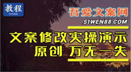 文案万无一失 站长亲自实操演示